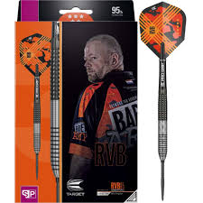 darts raymond van barneveld