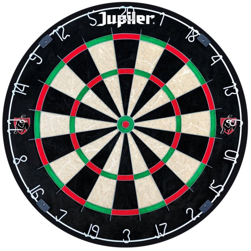 professionele dartbord