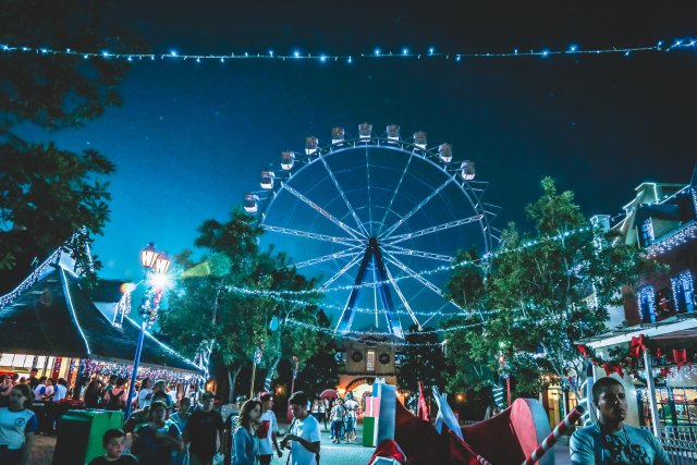 festival organiseren